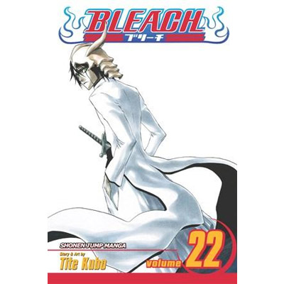 Bleach Vol. 22 | Tite Kubo
