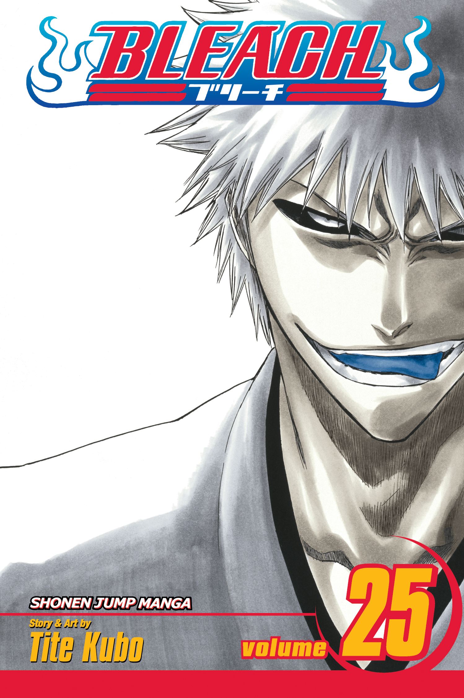 Bleach - Volume 25 | Tite Kubo