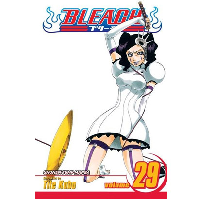 Bleach Vol. 29 | Tite Kubo