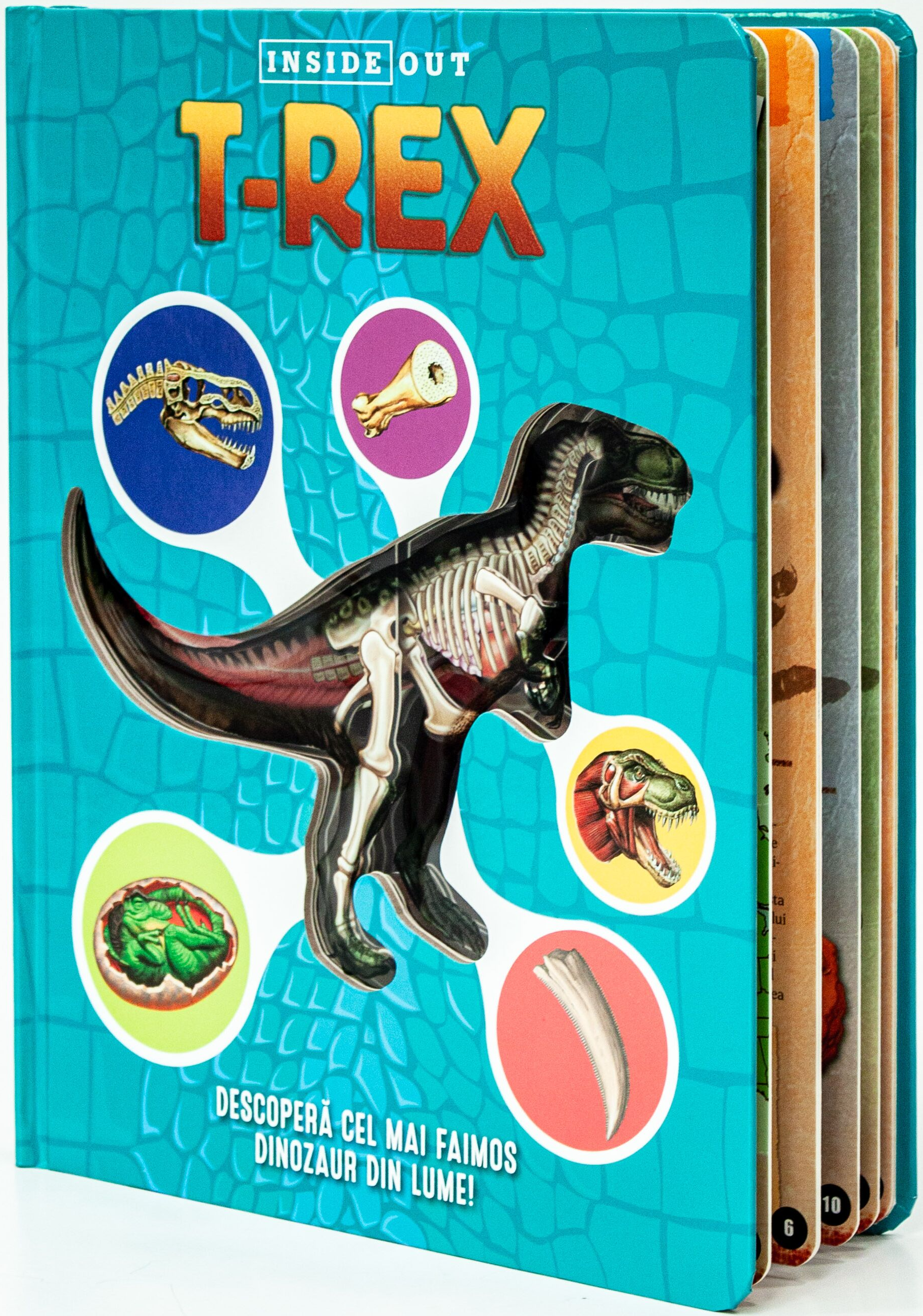 T-Rex - 3D |