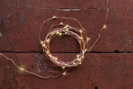 Ghirlanda de luminite - Copper String | Kikkerland - 1 | YEO