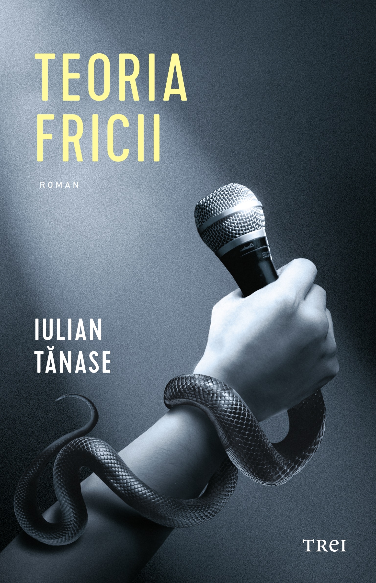 Teoria fricii | Iulian Tanase