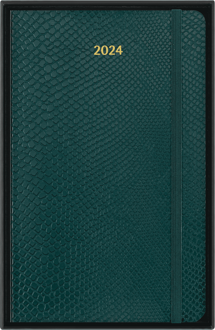 Agenda 2024 - Precious & Ethical Planner with Gift Box - 12-Month, Weekly - Faux Snakeskin - Large, Vegan Soft Cover - Green | Moleskine