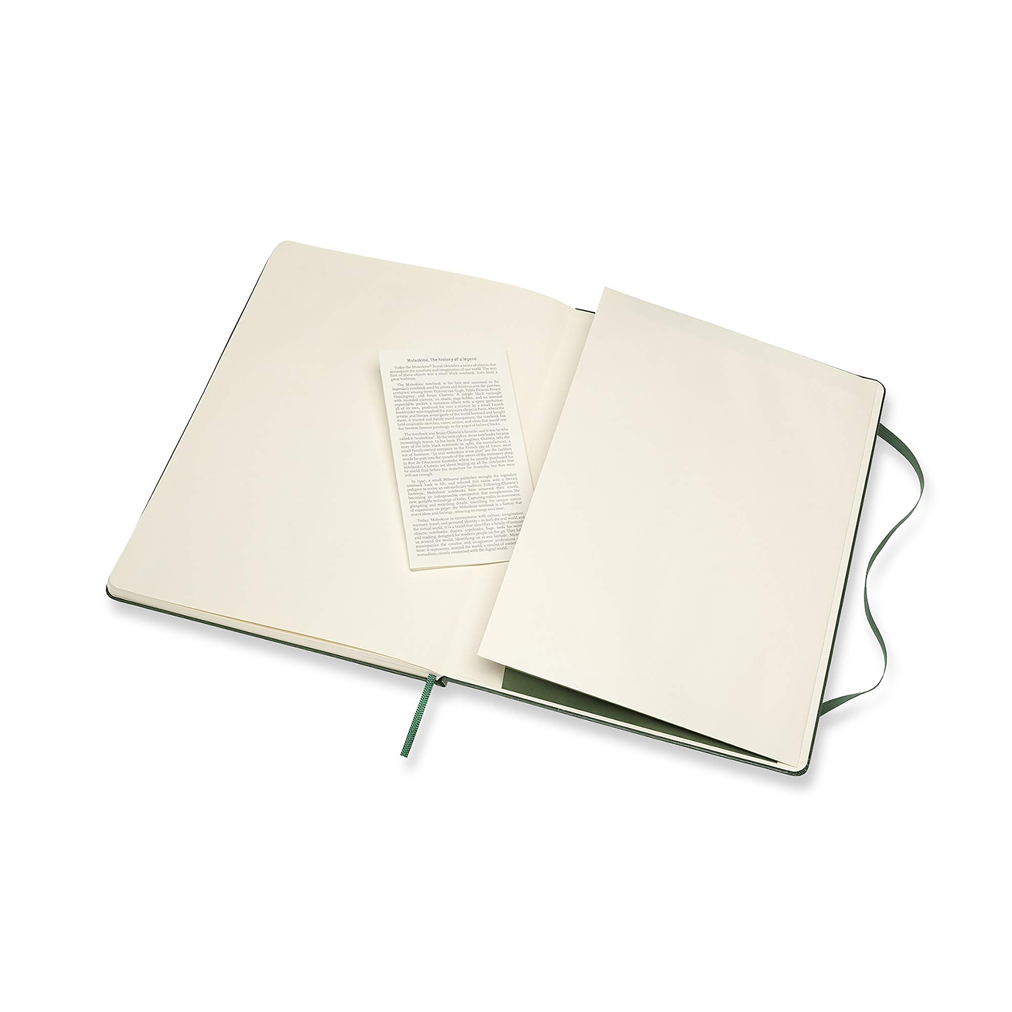 Carnet - Moleskine Classic - X-Large, Hard Cover, Plain - Myrtle Green | Moleskine - 3 | YEO