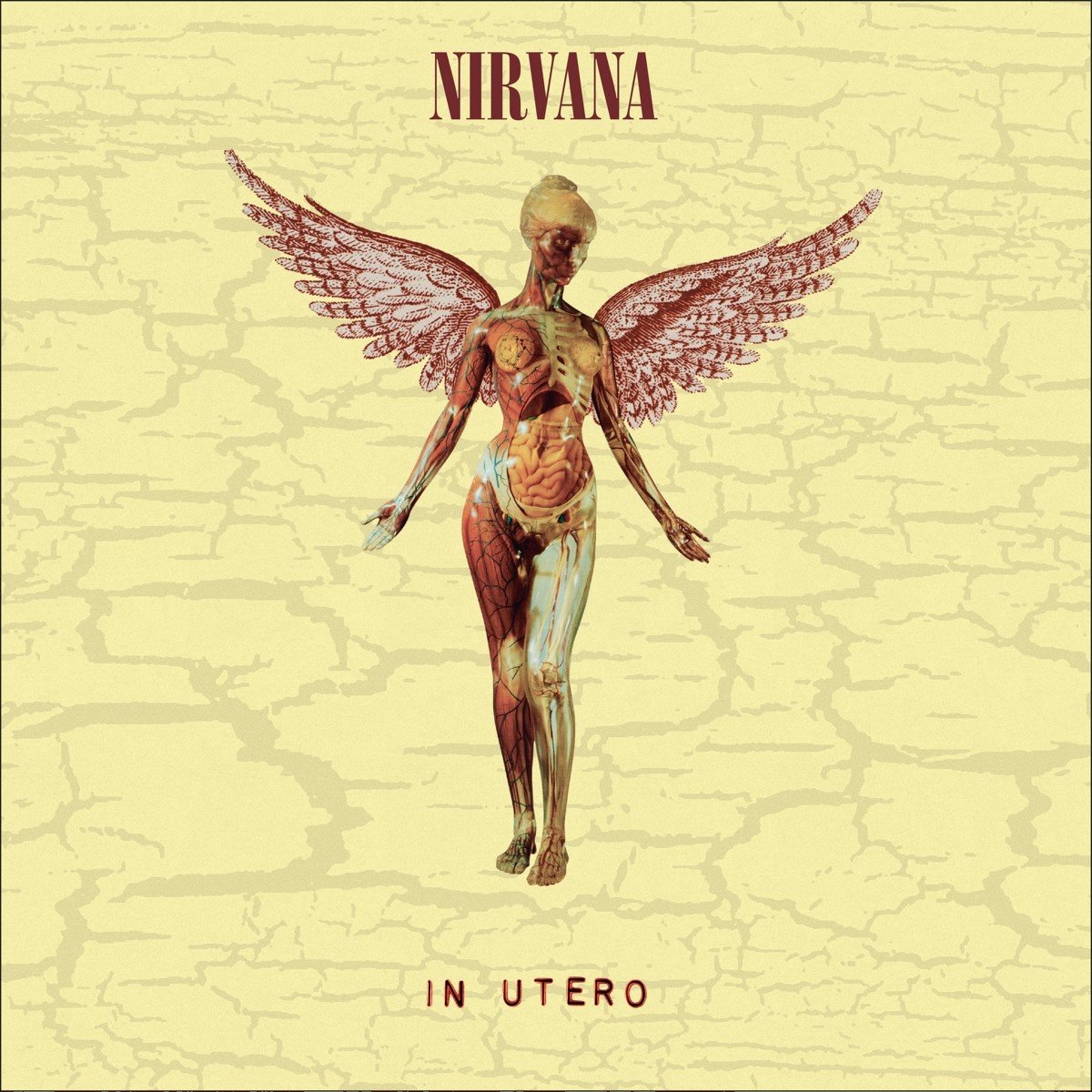 In Utero - Vinyl 10