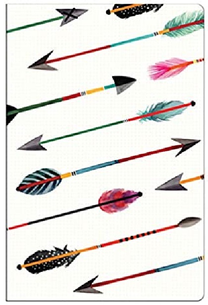 Set 2 carnetele Arrow & Feathers | Galison