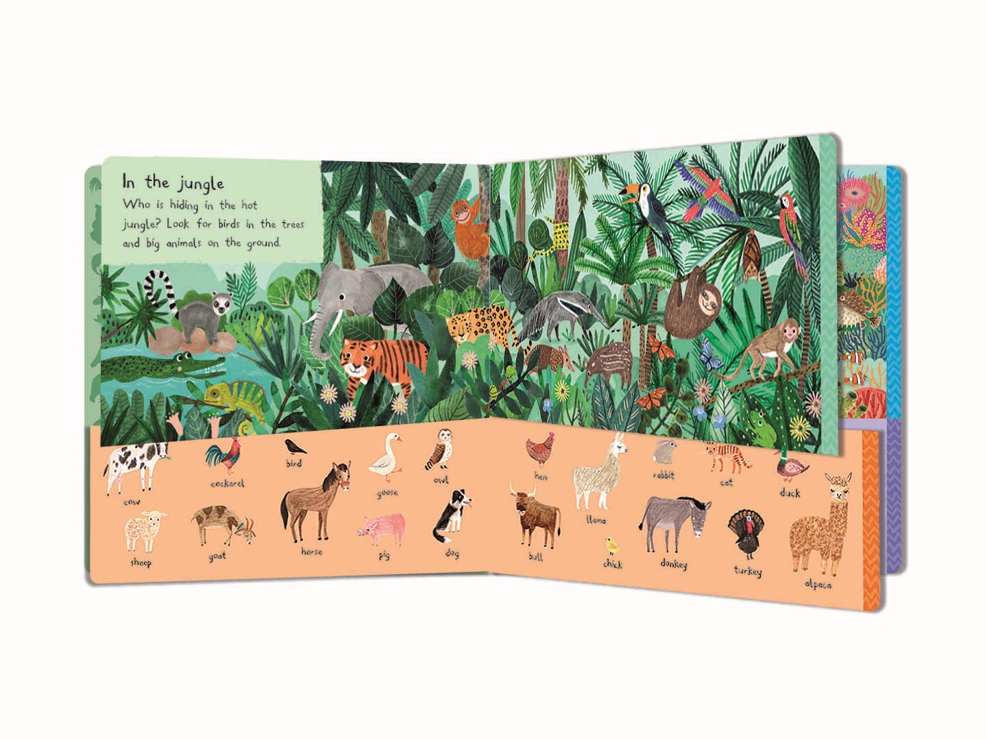 There Are 101 Animals In This Book | Rebecca Jones - 2 | YEO