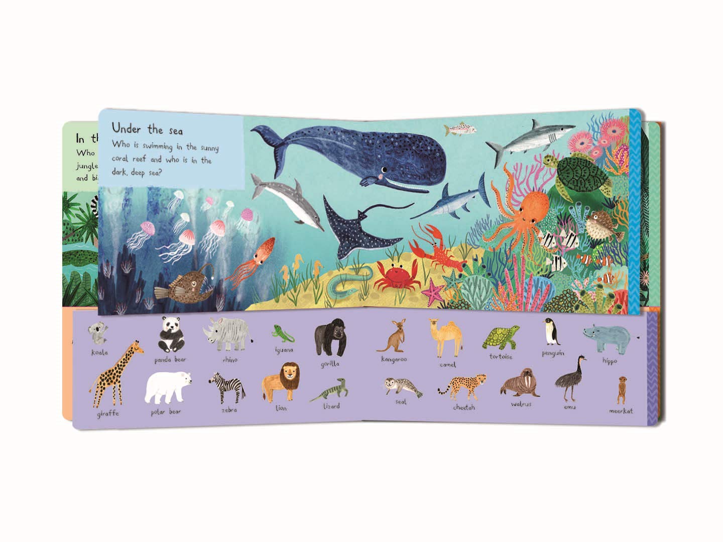 There Are 101 Animals In This Book | Rebecca Jones - 3 | YEO