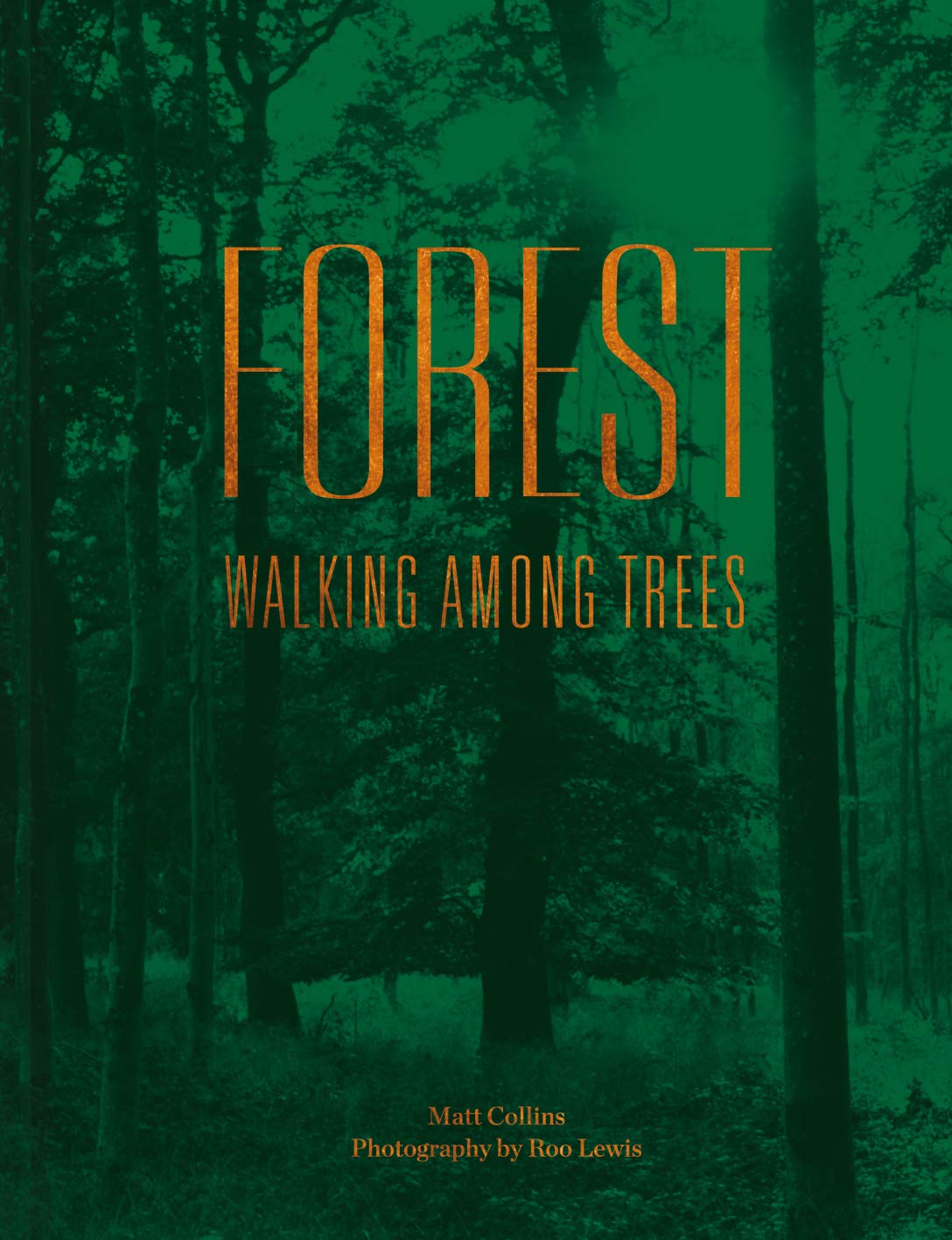 Forest : Walking Among Trees | Matt Collins