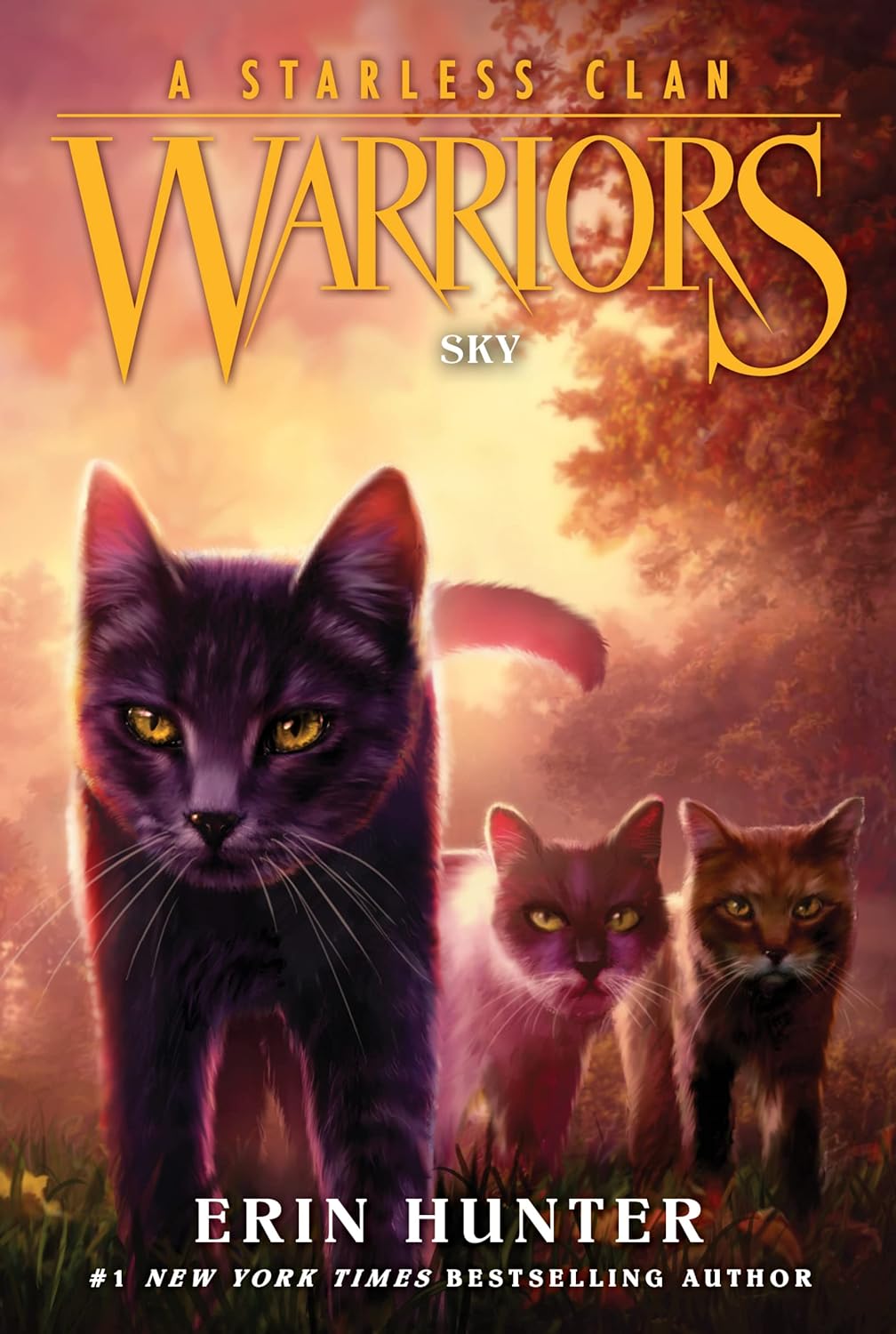 Warriors - A Starless Clan #2 - Sky | Erin Hunter