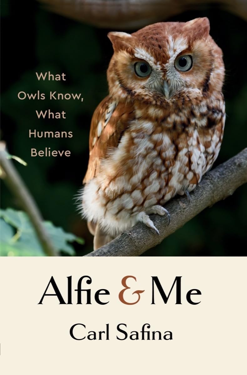 Alfie and Me | Carl Safina