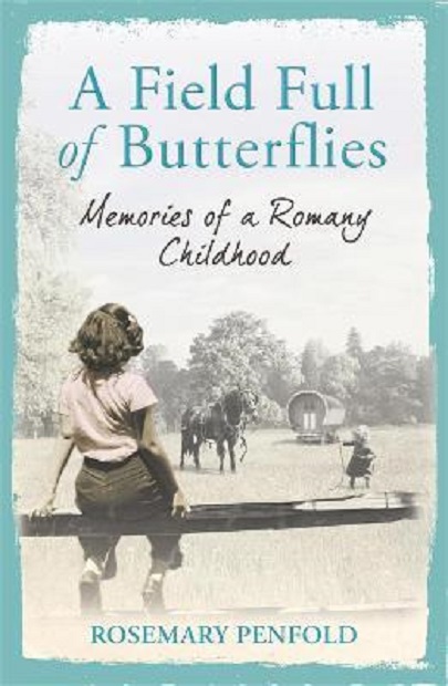 A Field Full of Butterflies | Rosemary Penfold