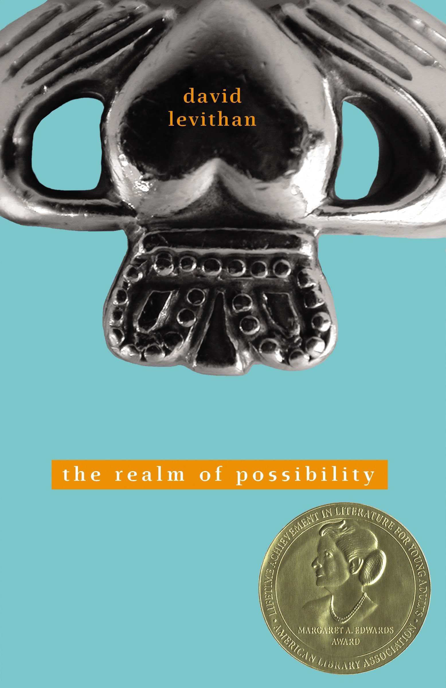 The Realm of Possibility | David Levithan