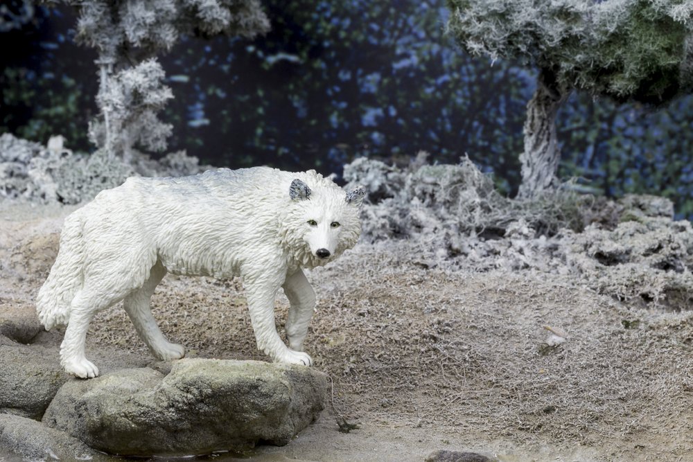 Figurina - White Wolf | Safari - 5 | YEO