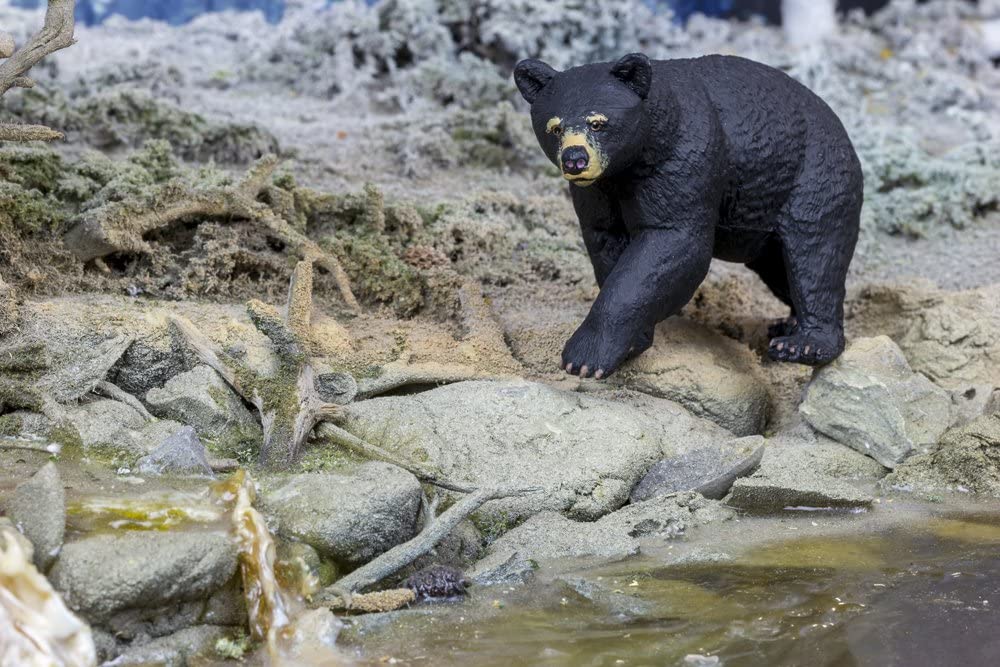 Figurina - North American Black Bear | Safari - 7 | YEO