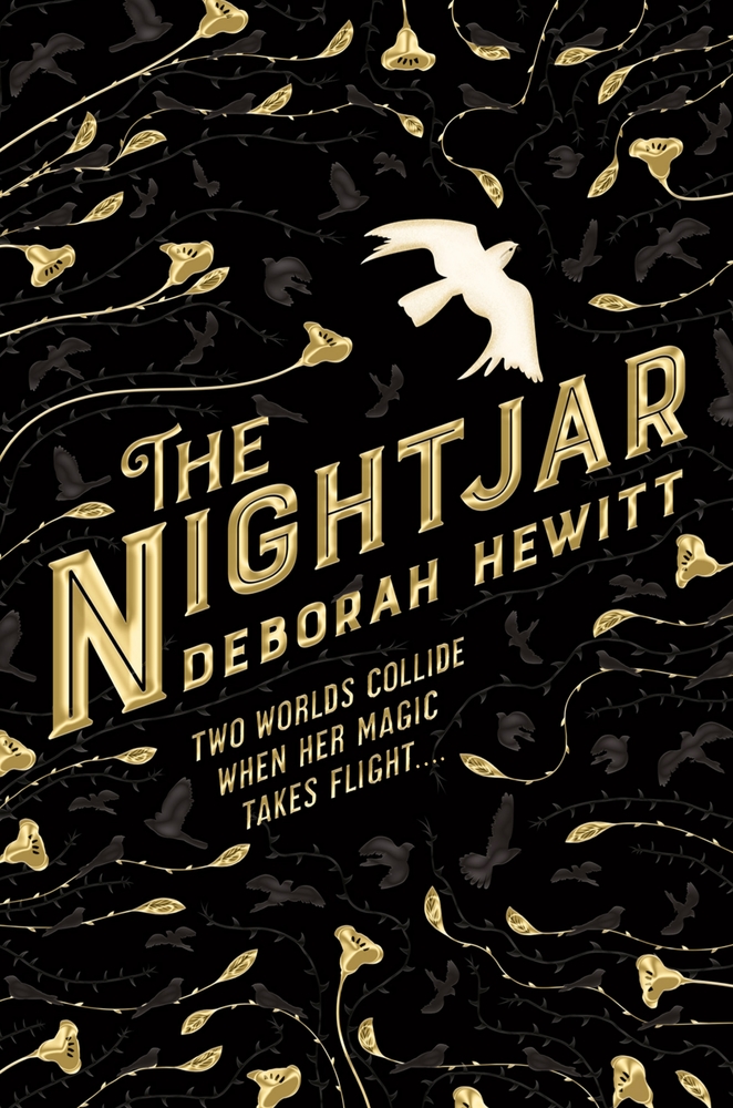 The Nightjar | Deborah Hewitt