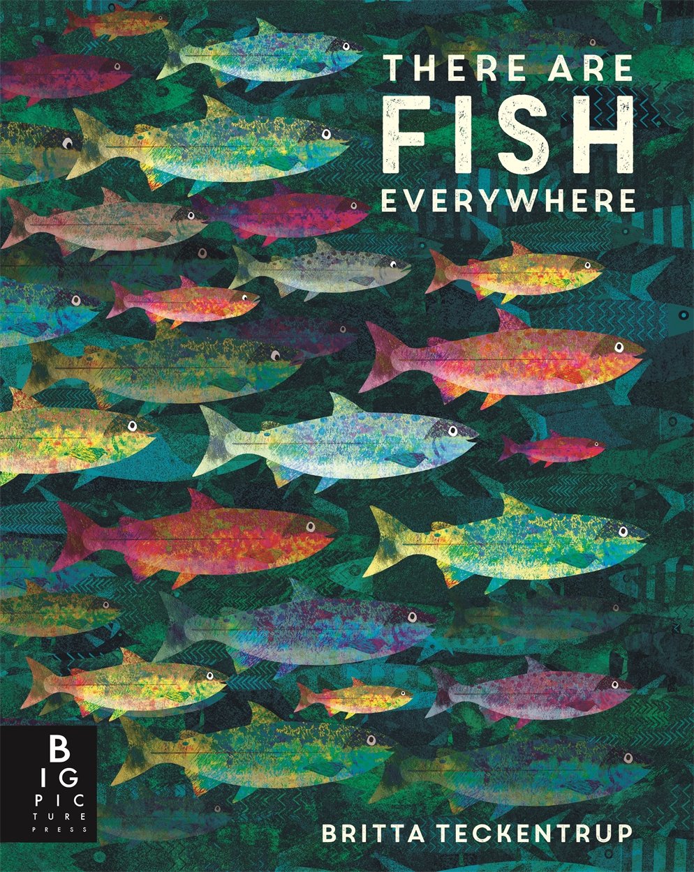 There are Fish Everywhere | Katie Haworth