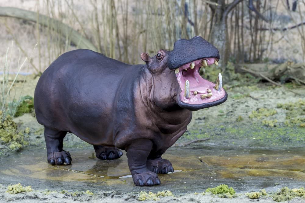 Figurina - Hippopotamus | Safari - 6 | YEO