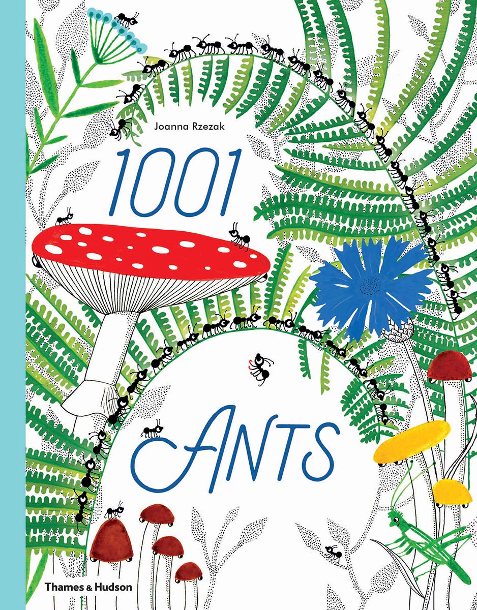 1001 Ants | Joanna Rzezak