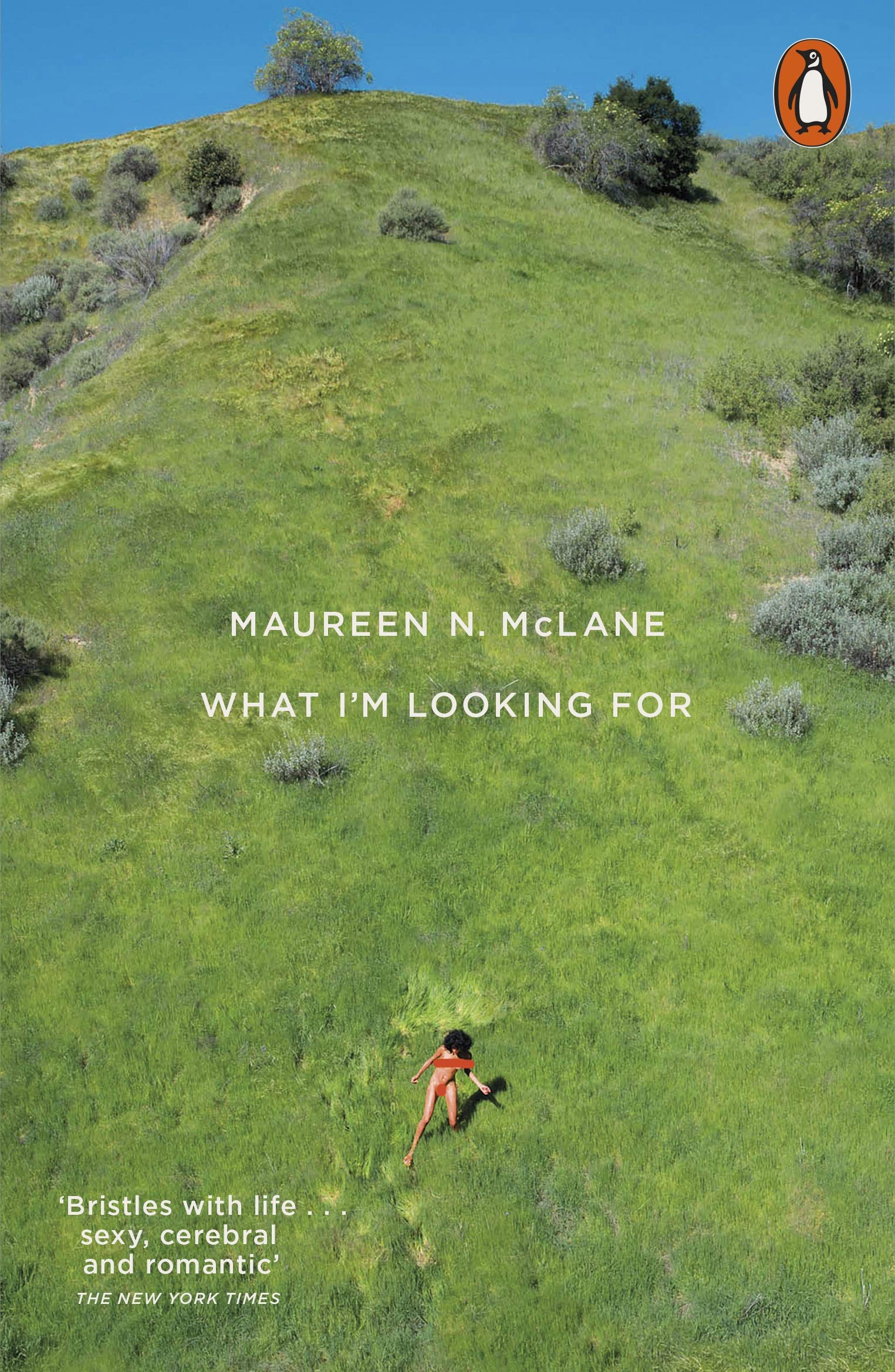 What I\'m Looking For | Maureen N. McLane