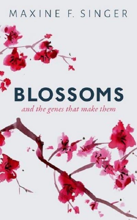 Blossoms | Maxine Singer