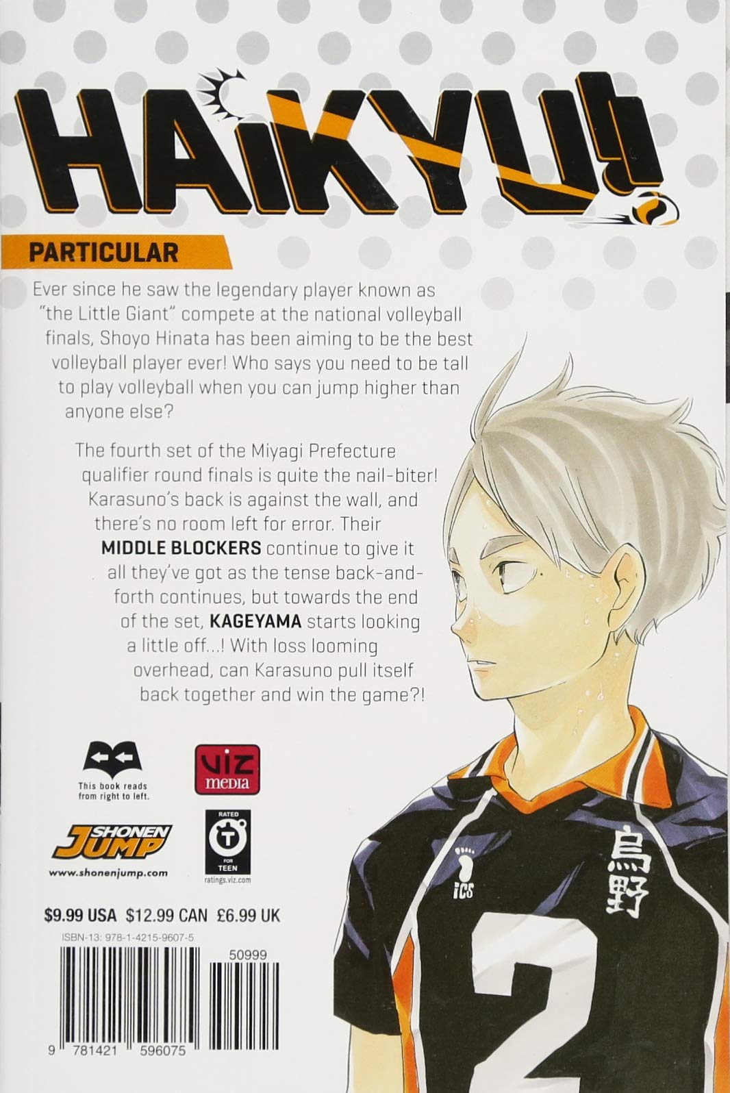 Haikyu!! Volume 20 | Haruichi Furudate - 1 | YEO