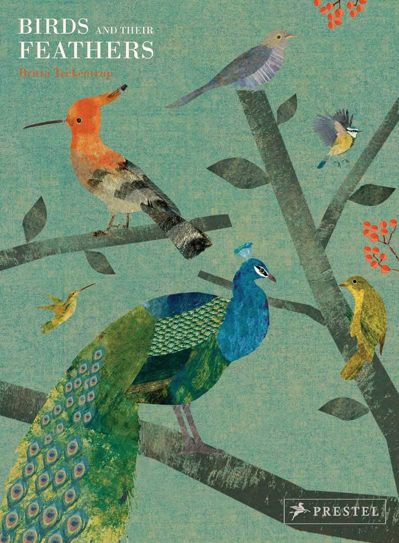 Birds and Their Feathers | Britta Teckentrup