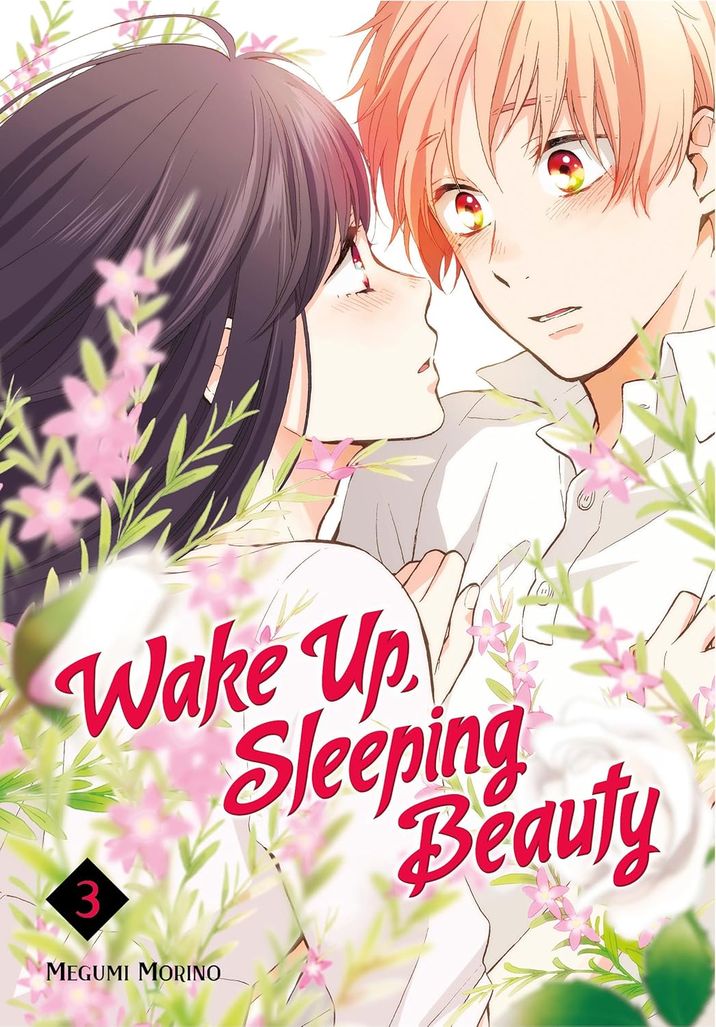 Wake Up, Sleeping Beauty - Volume 3 | Megumi Morino