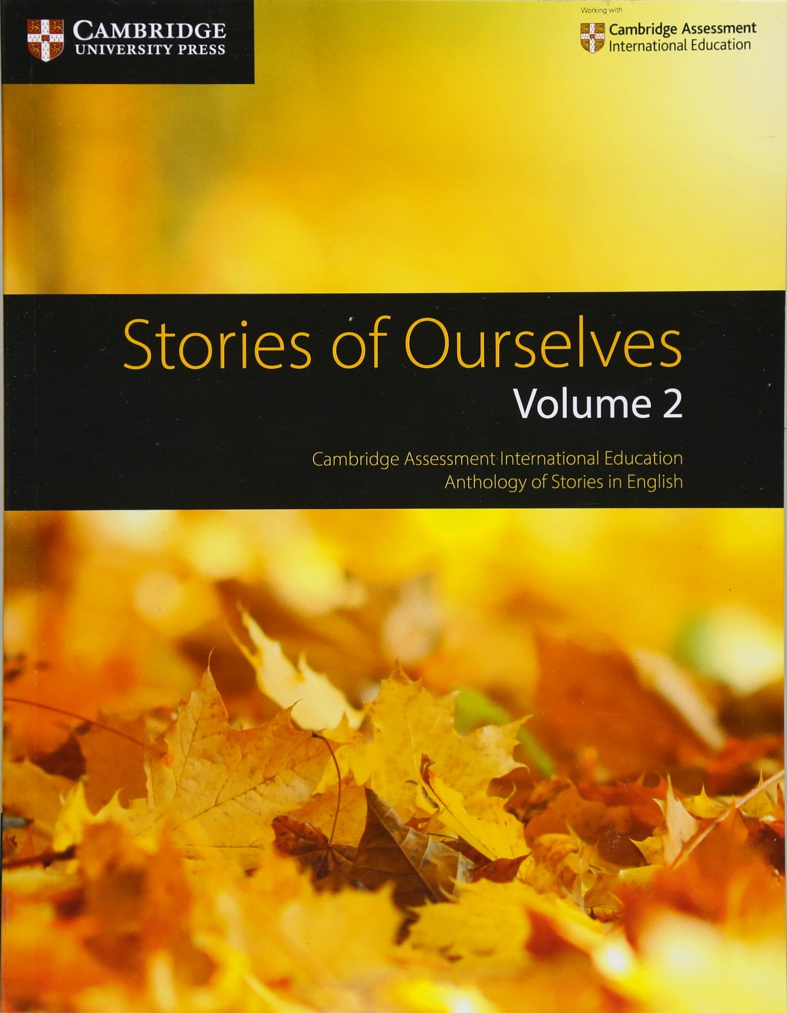 Stories of Ourselves - Volume 2 | Mary Wilmer - 1 | YEO