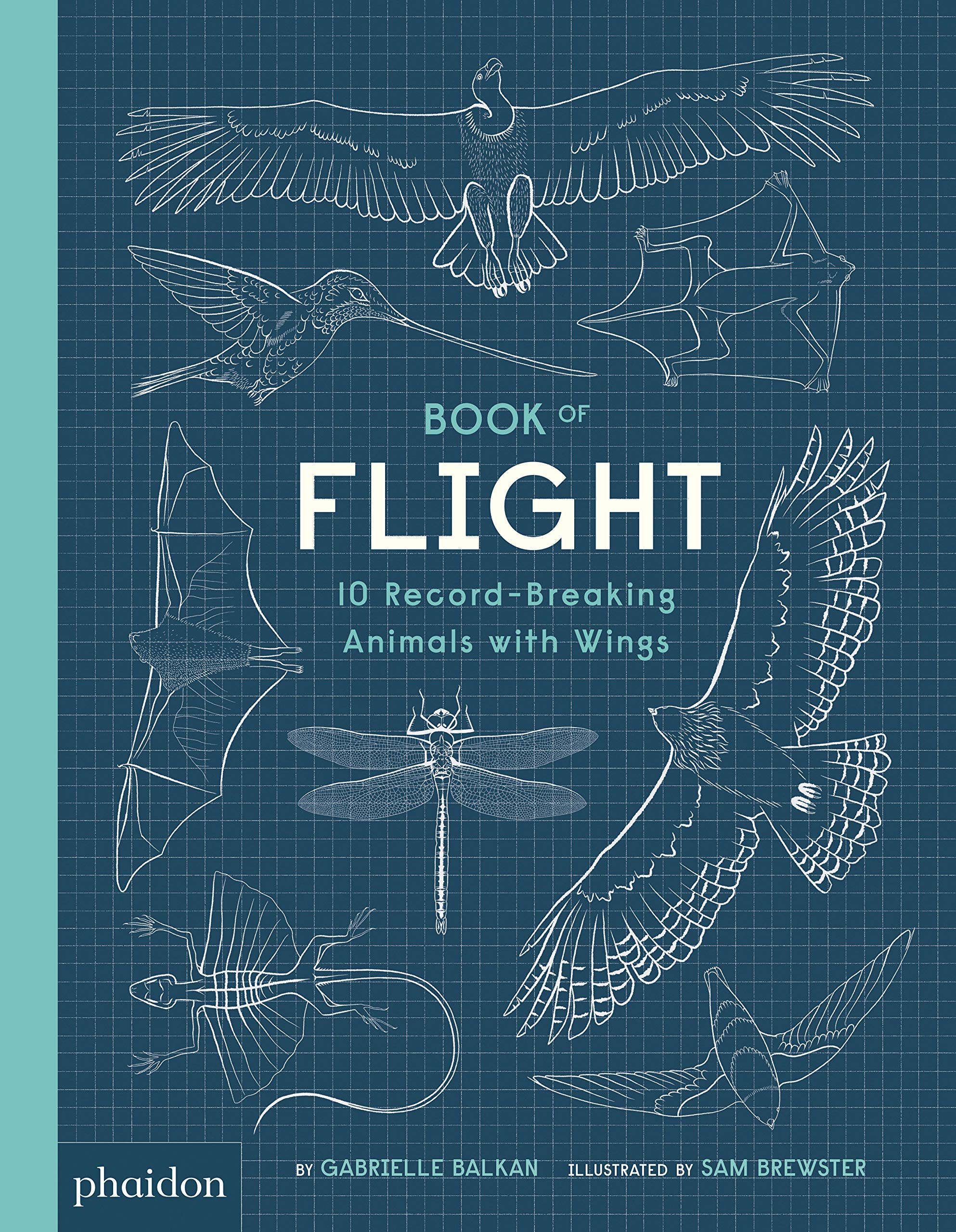 Book of Flight | Gabrielle Balkan