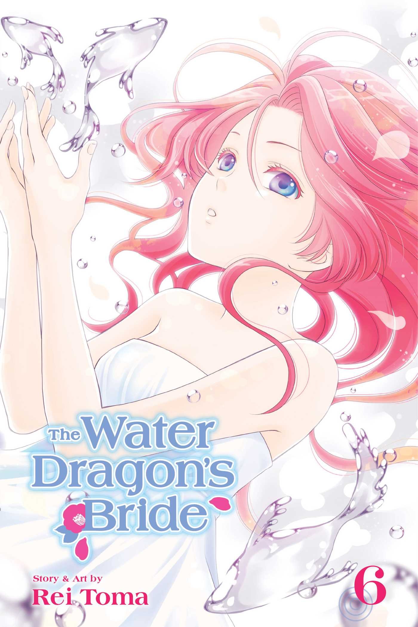 The Water Dragon\'s Bride - Volume 6 | Rei Toma