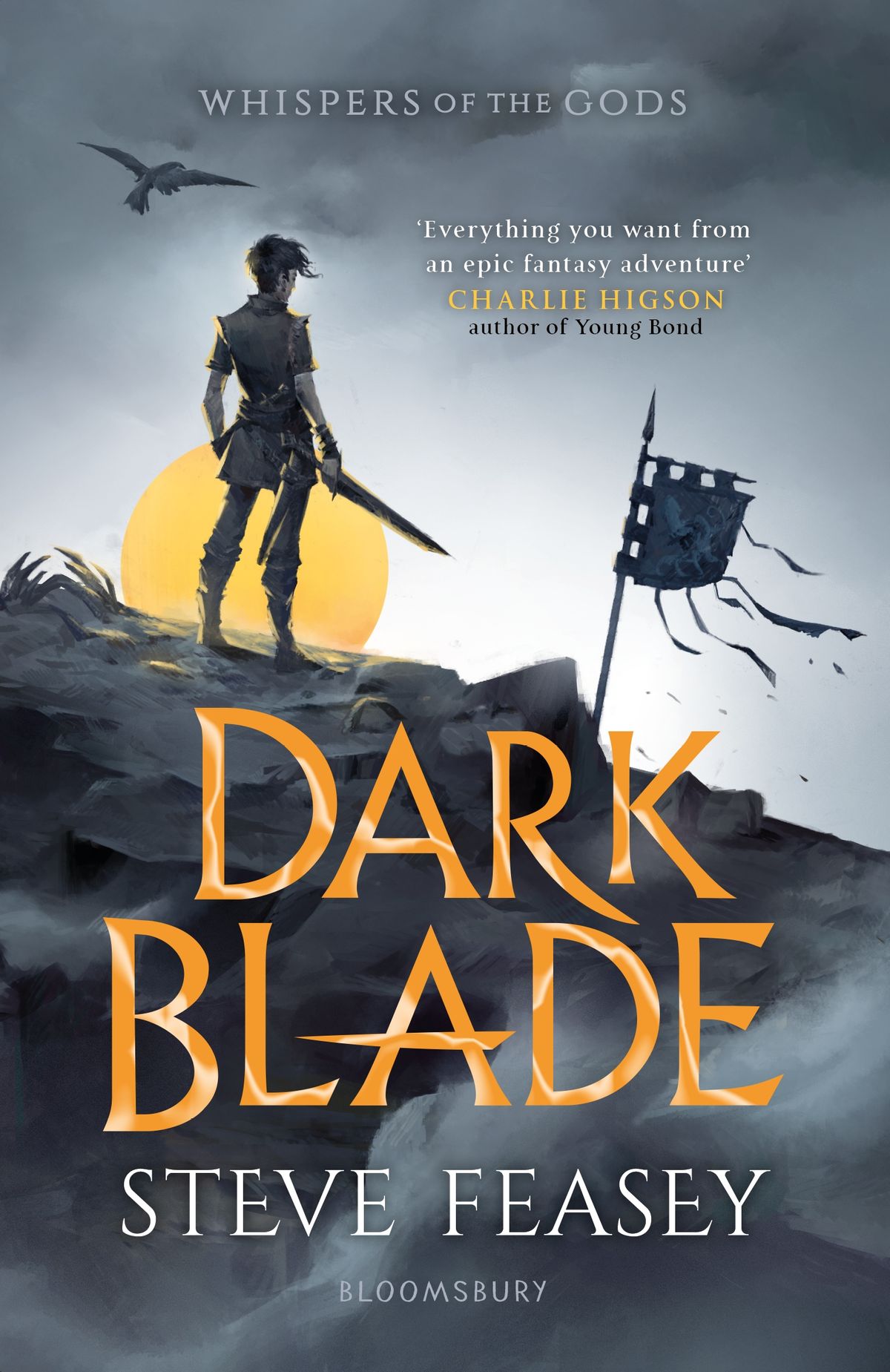 Dark Blade | Steve Feasey