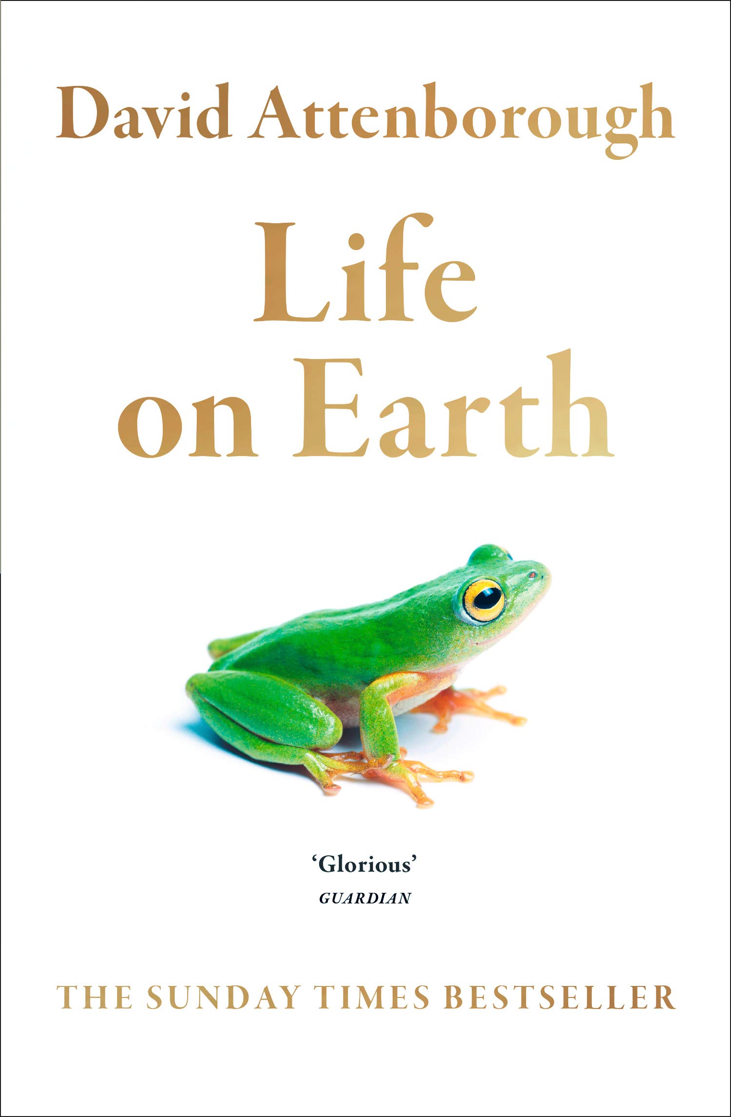Life on Earth | David Attenborough