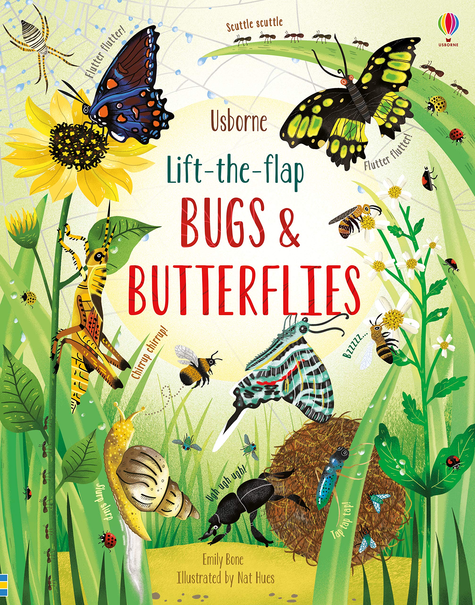Lift the Flap Bugs and Butterflies | Emily Bone