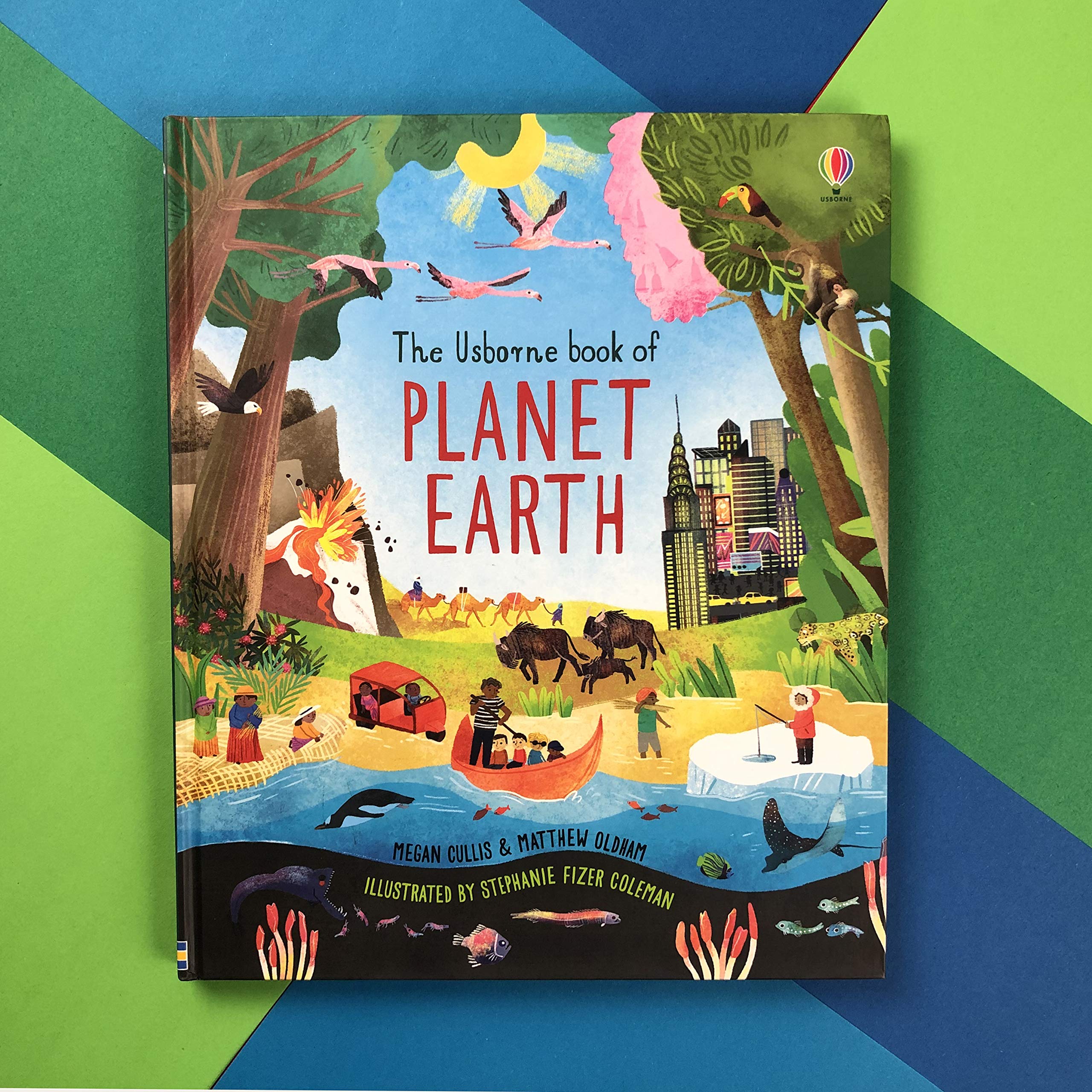 The Usborne Book of Planet Earth | Megan Cullis, Matthew Oldham