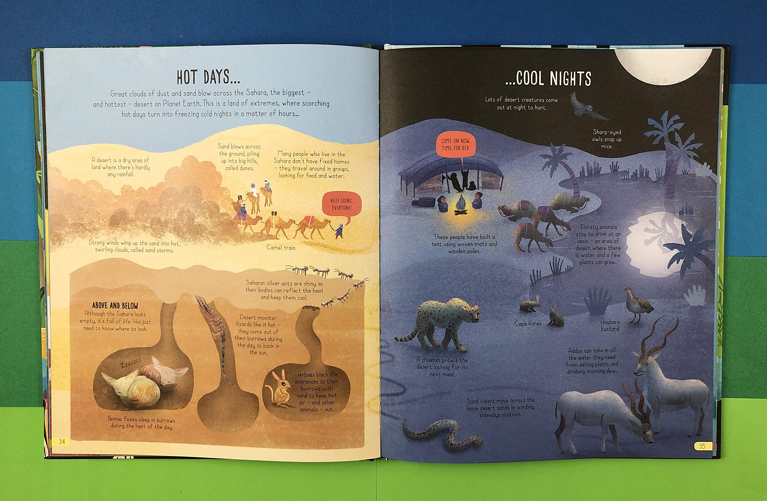 The Usborne Book of Planet Earth | Megan Cullis, Matthew Oldham - 1 | YEO