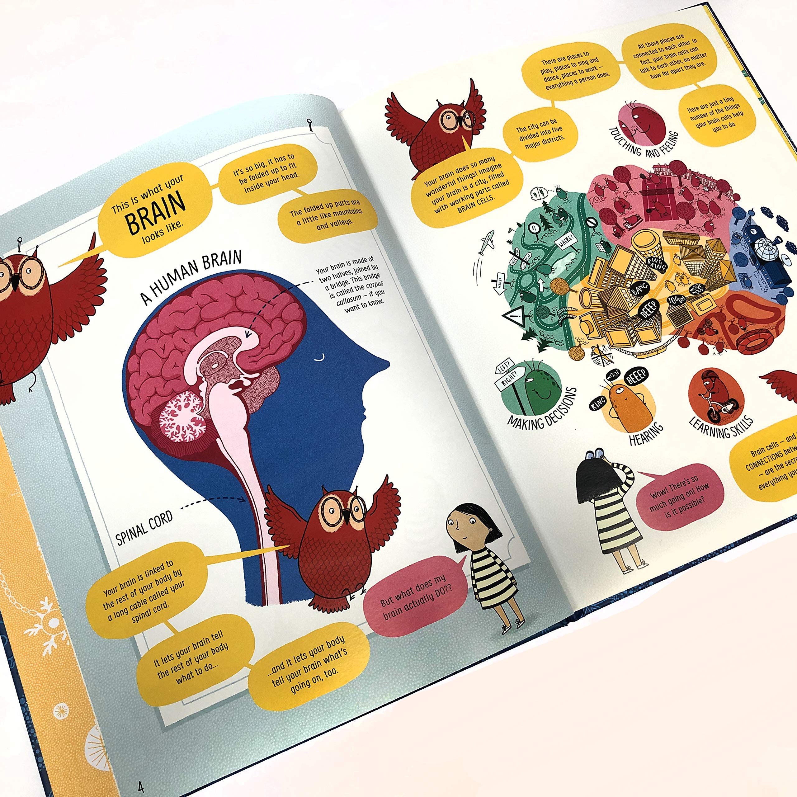 The Usborne Book of the Brain and How It Works | Betina Ip - 1 | YEO