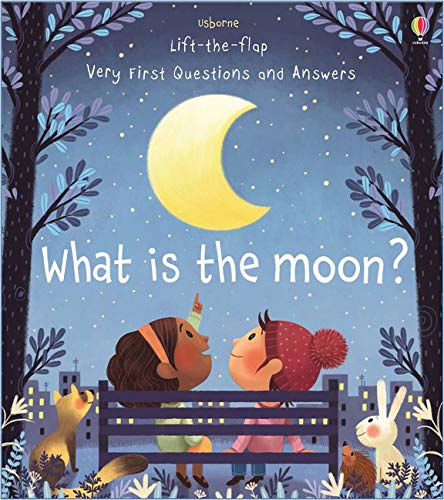 What is the Moon?  | Katie Daynes