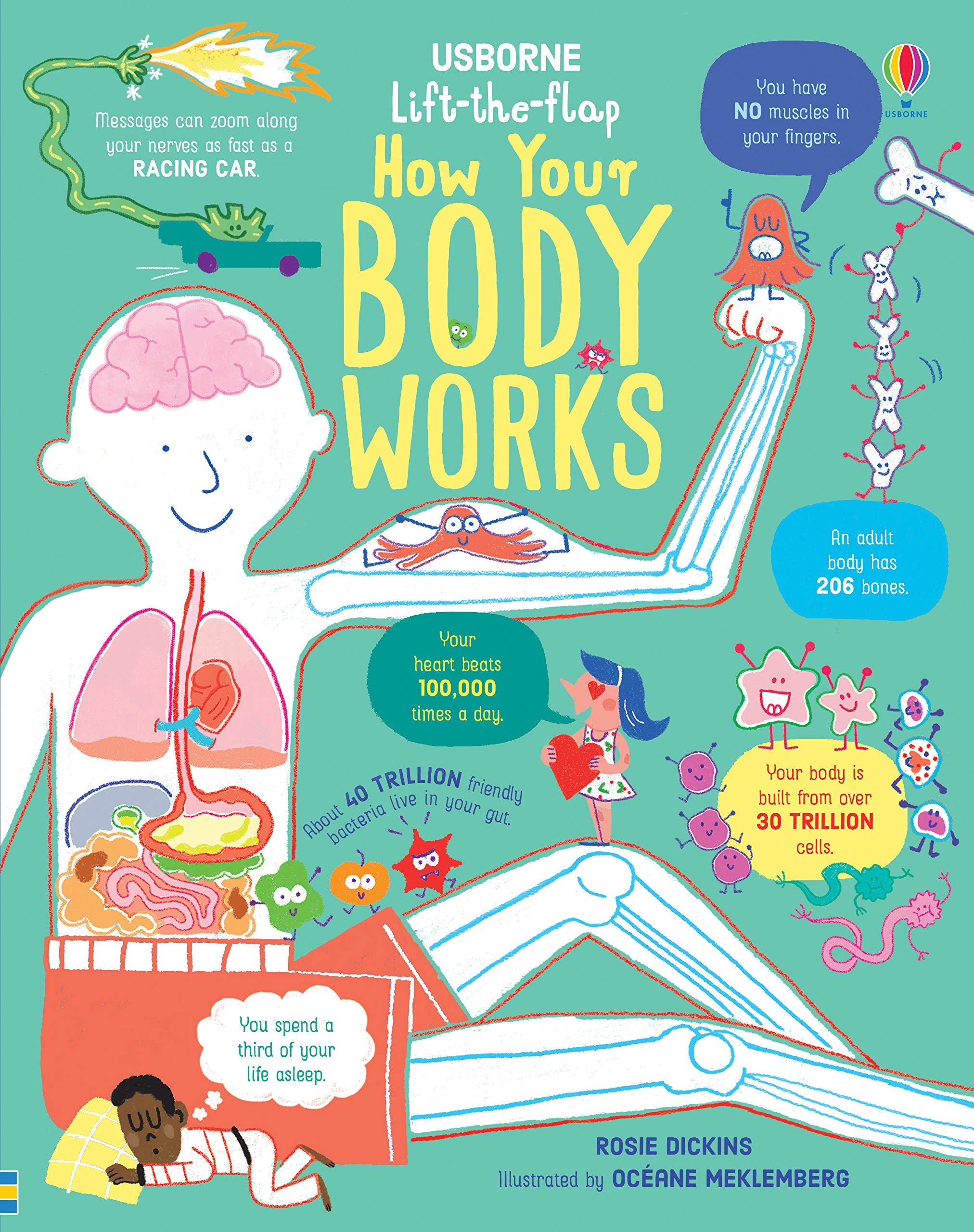How Your Body Works | Rosie Dickins