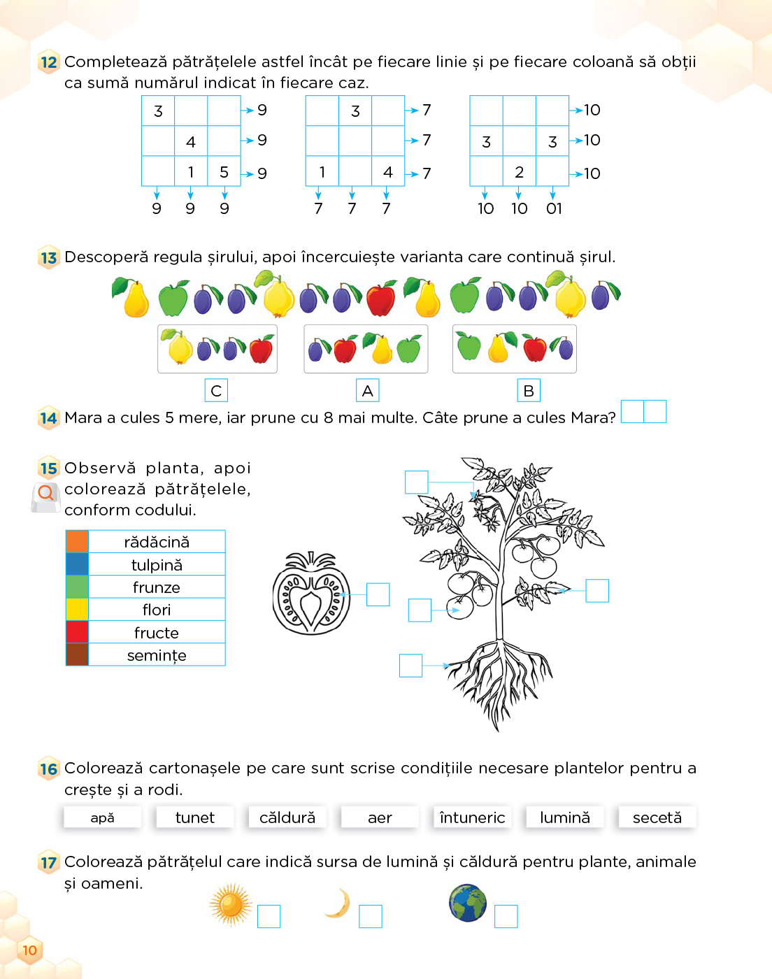 Matematica si explorarea mediului. Clasa I | Mariana Mogos - 7 | YEO