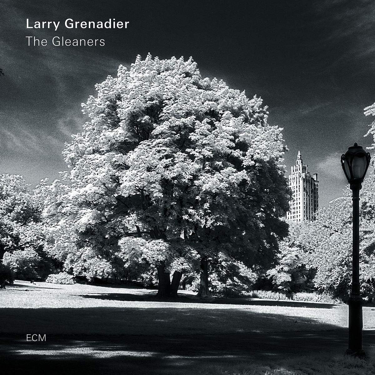 The Gleaners - Vinyl | Larry Grenadier