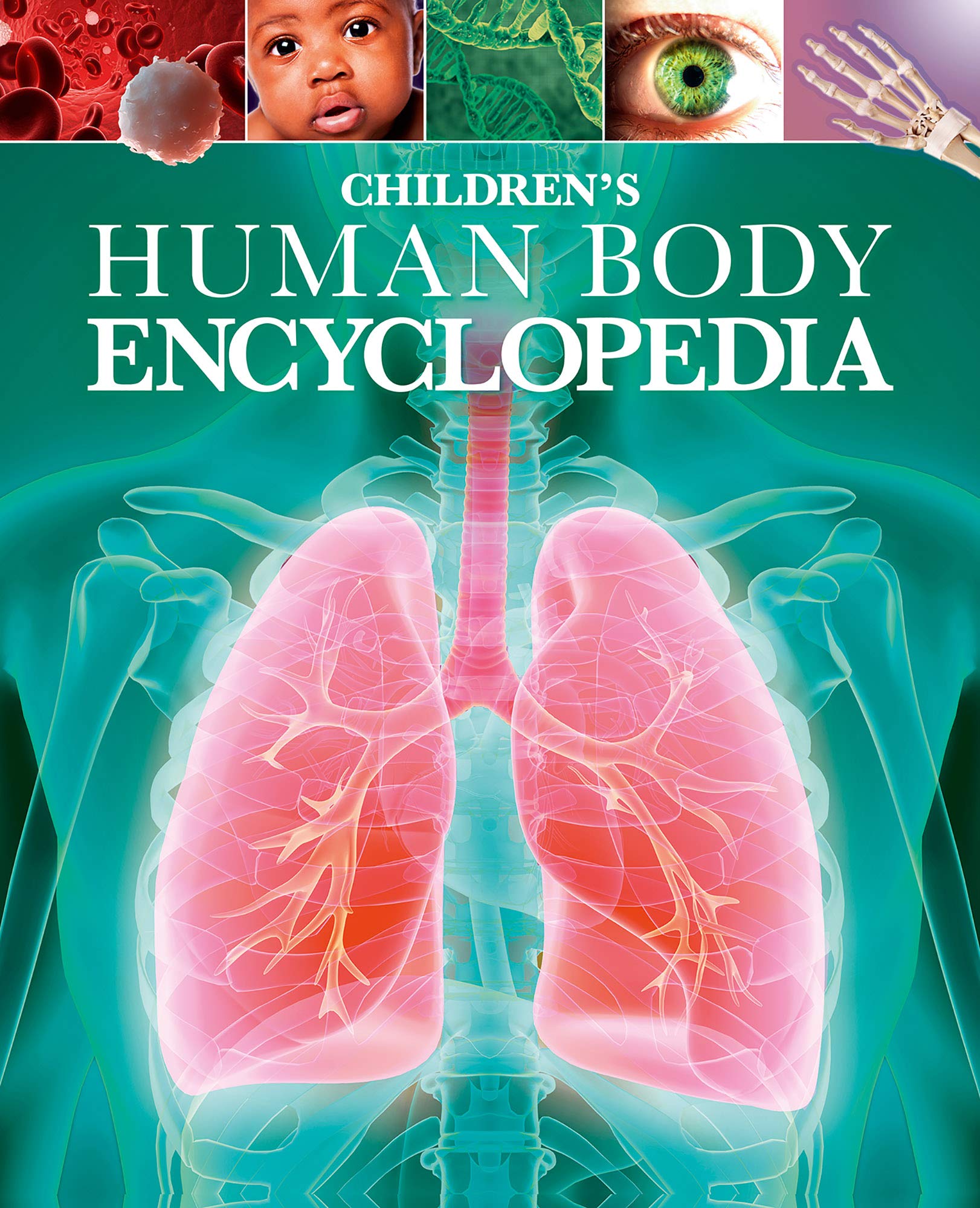 Children's Human Body Encyclopedia | Clare Hibbert