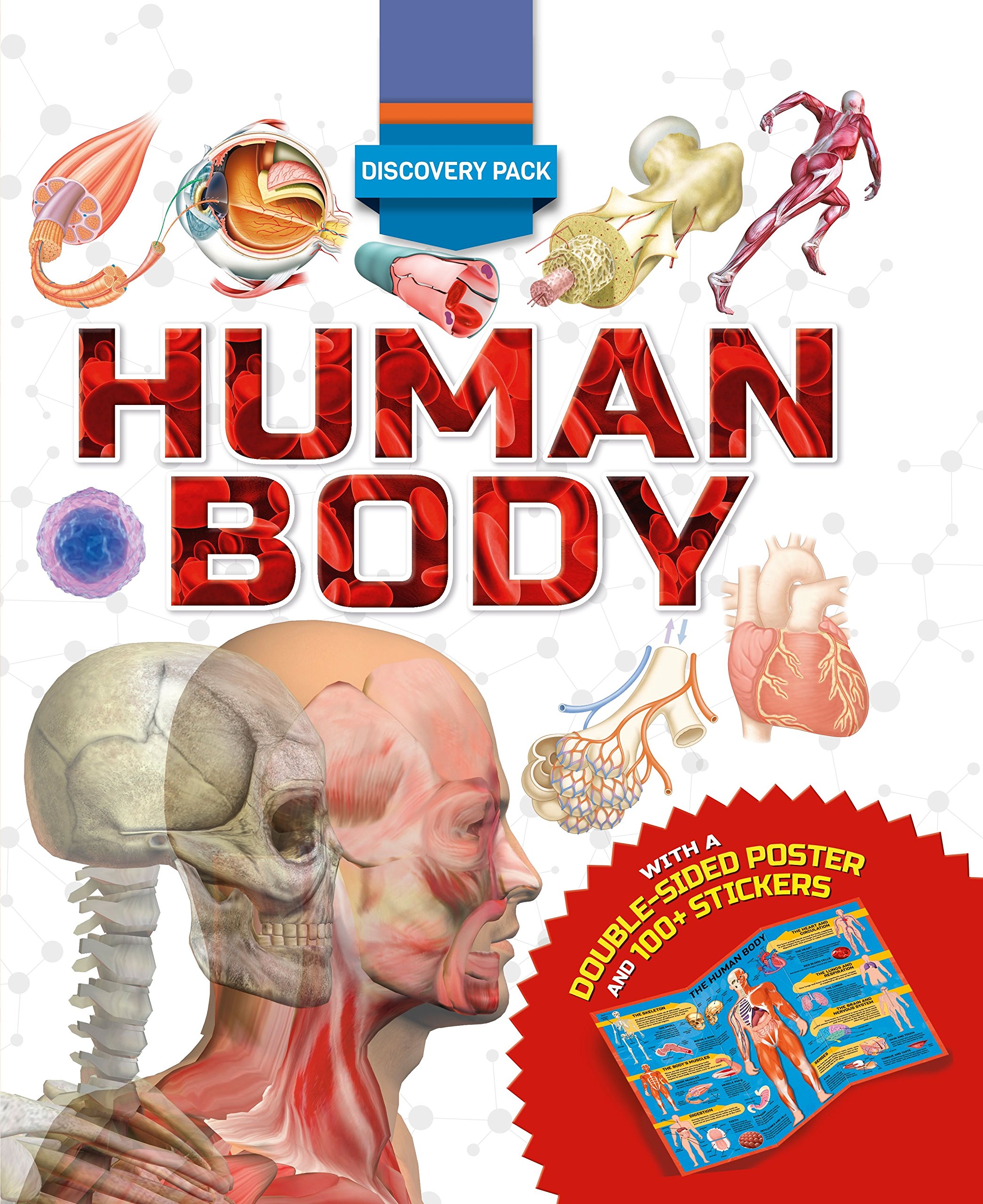 Discovery Pack: Human Body | Clare Hibbert