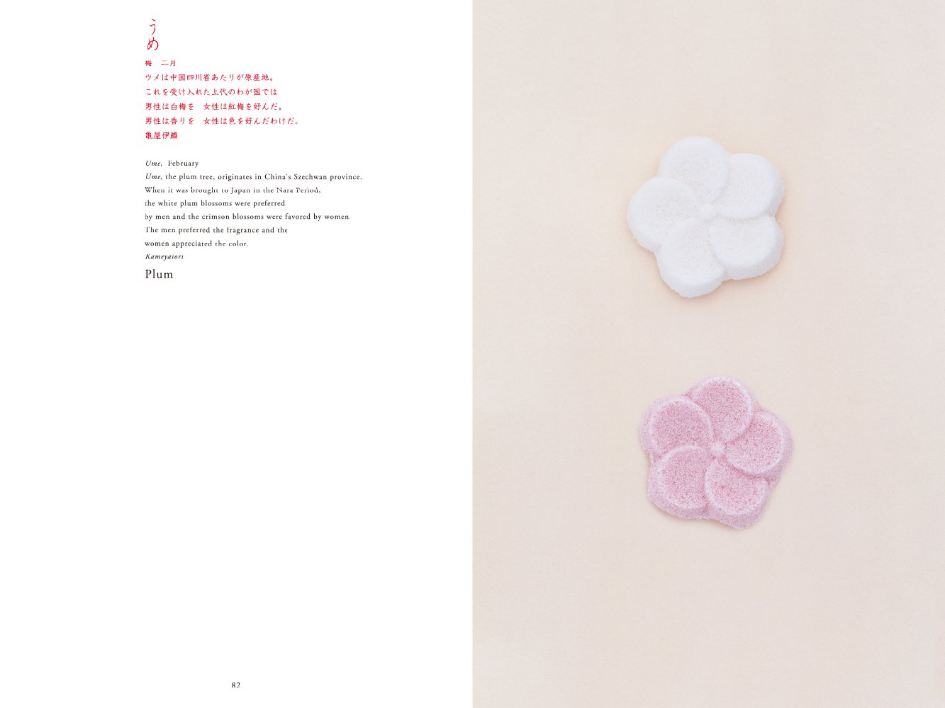 Wagashi | Kazuya Takaoka, Mtsuo Takashai - 6 | YEO