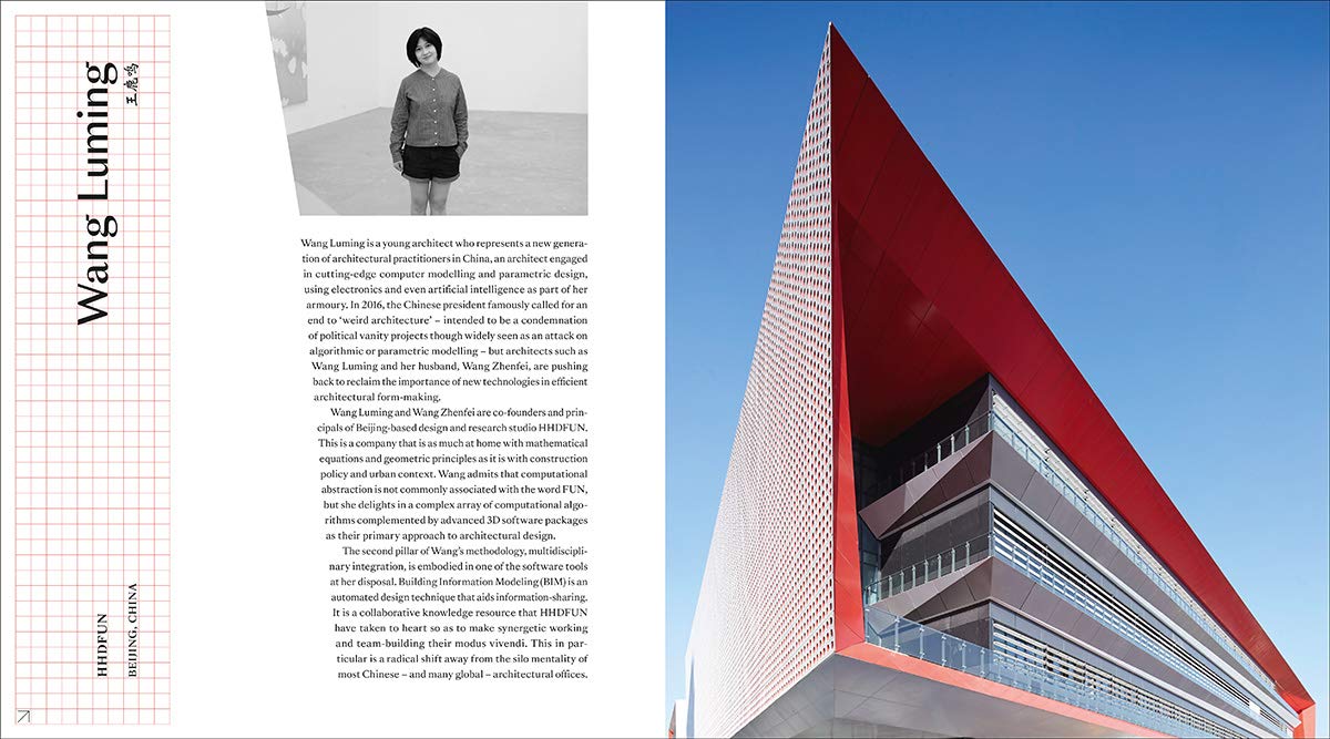 New Chinese Architecture | Austin Williams, Zhang Xin - 7 | YEO