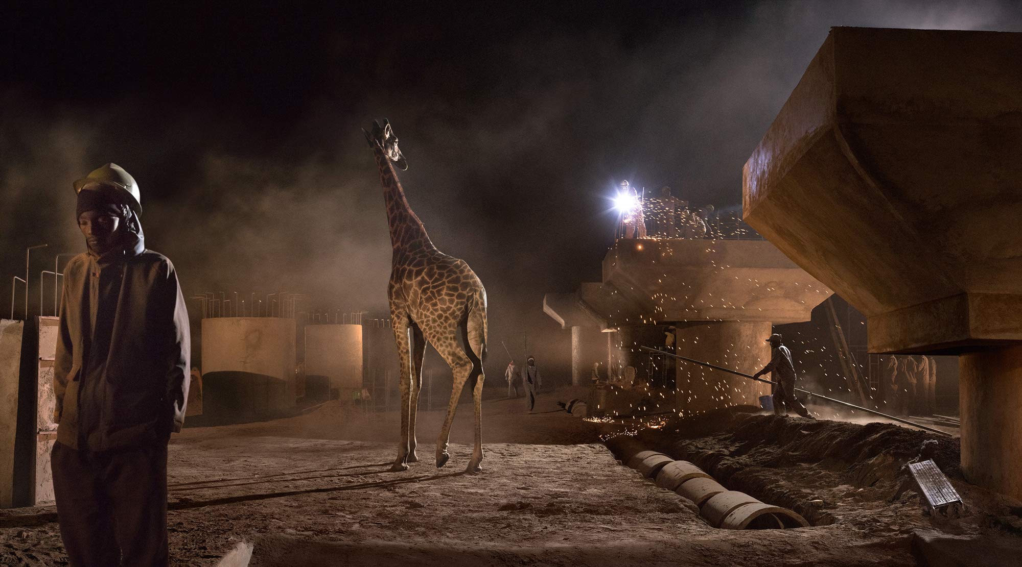 This Empty World | Nick Brandt