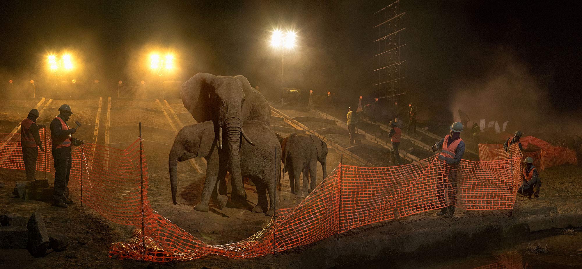 This Empty World | Nick Brandt - 1 | YEO