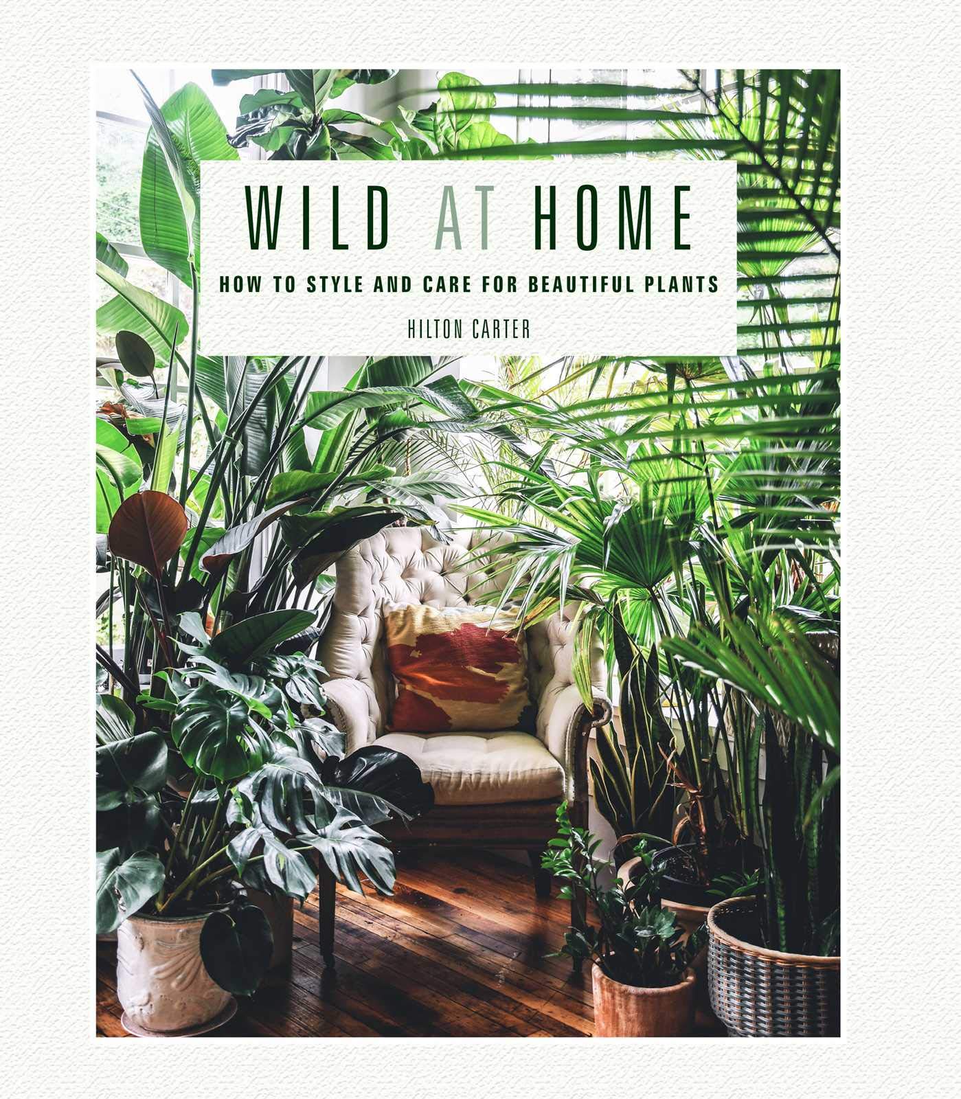 Wild at Home | Hilton Carter
