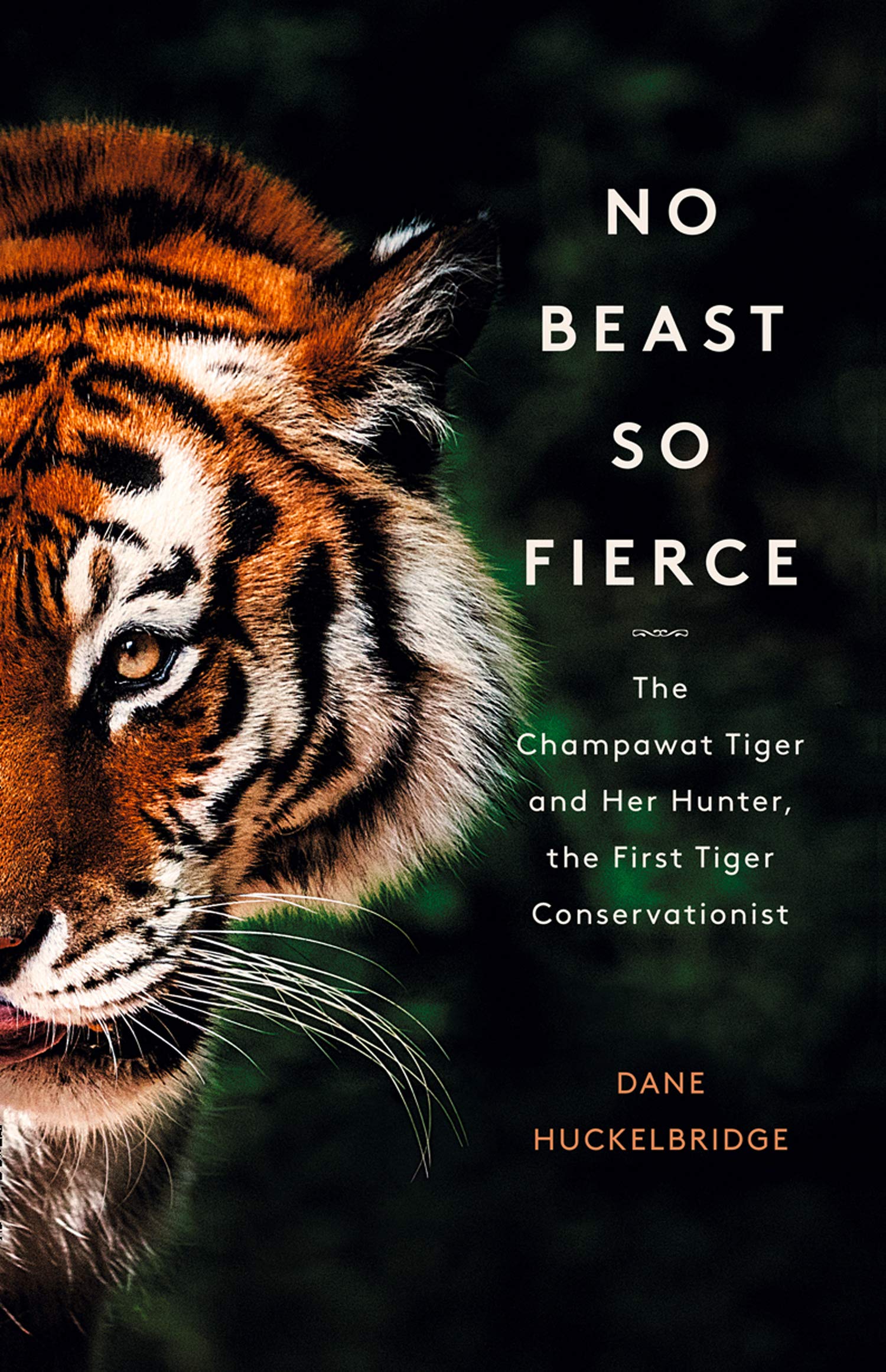 No Beast So Fierce | Dane Huckelbridge