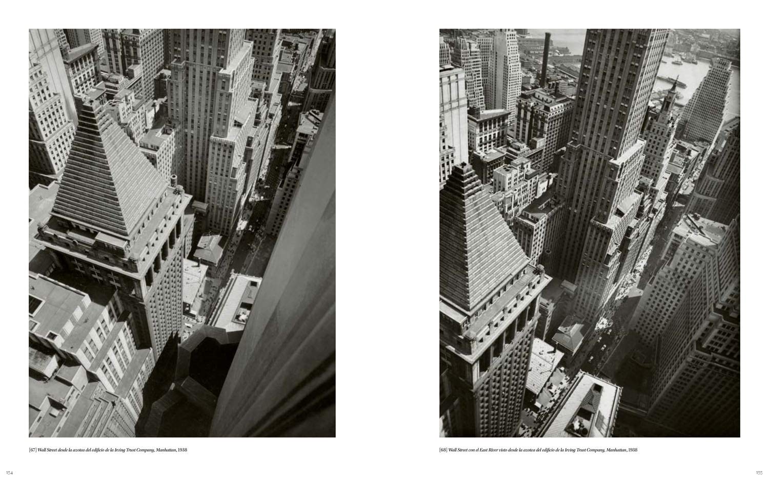 Berenice Abbott | Estrella de Dieg, Gary Van Zante, Cara Hoffman - 4 | YEO